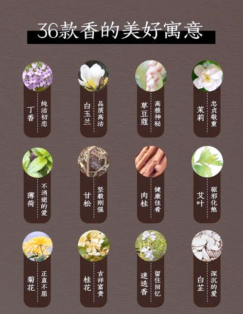 梦见香料预示哪些？深度解读背后寓意及高效解决方案