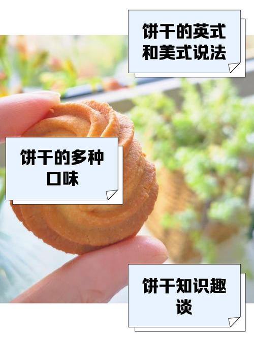 梦见饼干象征意义揭秘生活甜美还是内心渴望？
