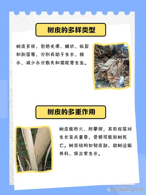 梦见树皮的象征意义与解读，网友评价发现梦境中的潜在信息！