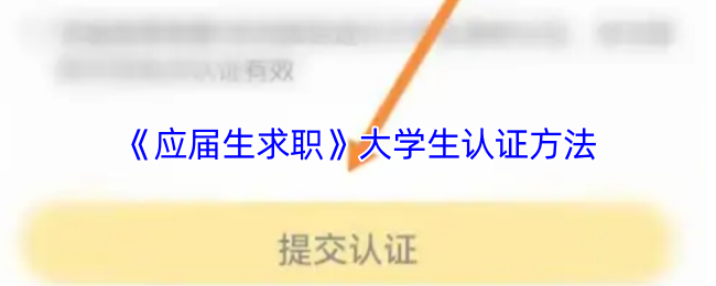 应届生求职秘籍：如何认证大学生身份？高效解决方案揭秘！