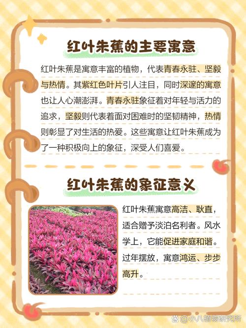 一梦见红叶征兆解析，掌握潜在心理暗示技巧