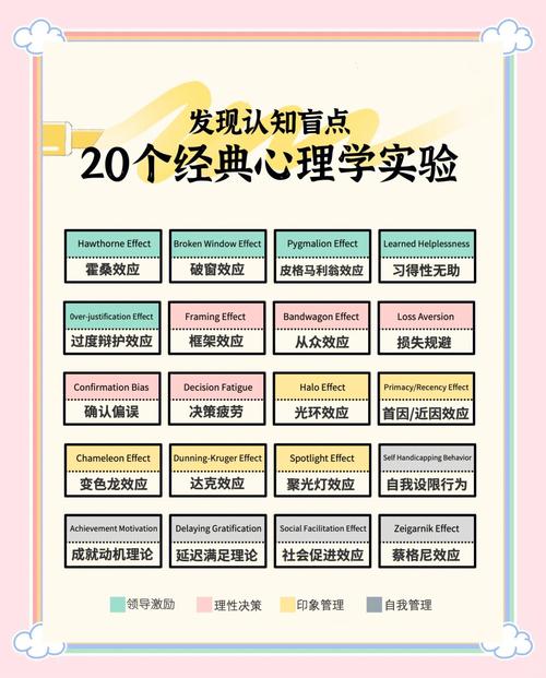 解读梦见连锁店10大心理学解析与行业影响