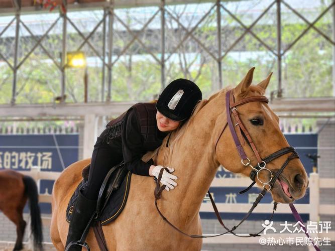 梦见骑膊马 vs 现实骑马体验解密梦境与真实感受的差异 梦见骑膊马 vs 现实骑马体验解密梦境与真实感受的差异