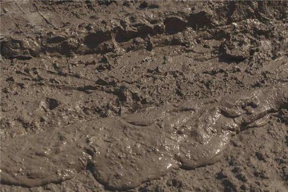 梦见泥浆预示着哪些?深入解析潜藏的生活启示与心理暗示 梦见泥浆预示着哪些?深入解析潜藏的生活启示与心理暗示