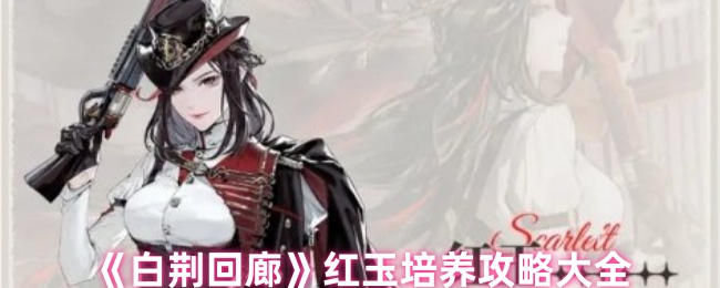 揭秘白荆回廊红玉培养秘籍:高手如何打造最强角色? 揭秘白荆回廊红玉培养秘籍:高手如何打造最强角色?