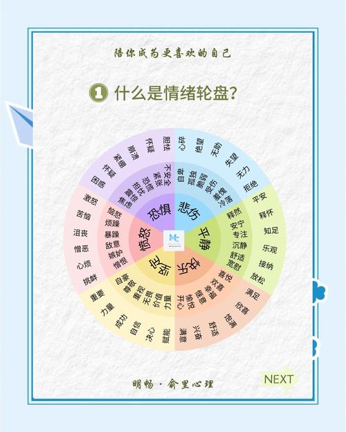 梦见托盘的深层心理分析，揭示潜意识中的情感密码！