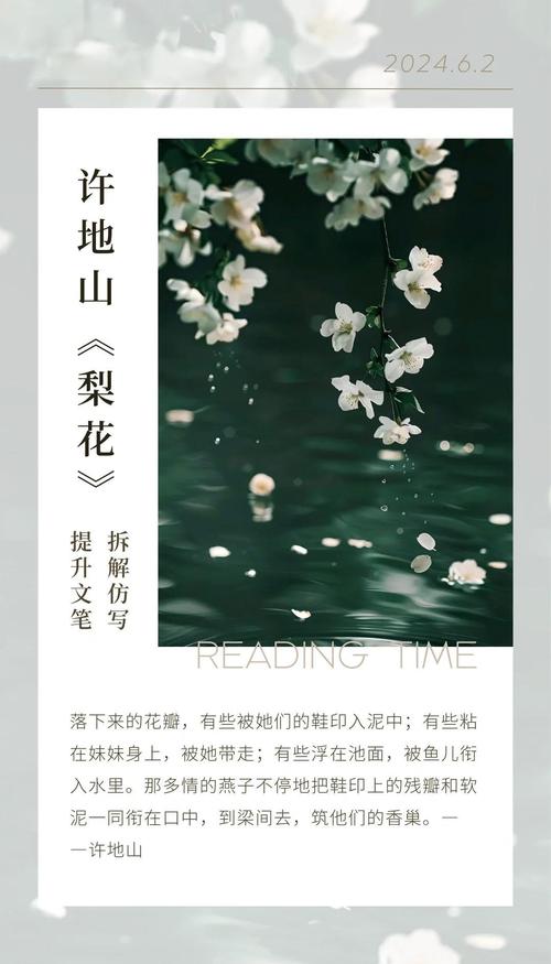 梨花梦境详解探寻内心深处的温柔与浪漫体验 梨花梦境详解探寻内心深处的温柔与浪漫体验