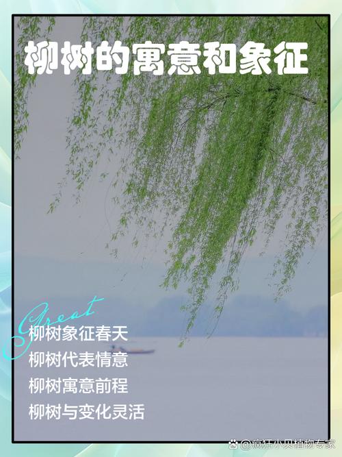 梦见垂柳象征的深层含义及其对生活的积极影响 梦见垂柳象征的深层含义及其对生活的积极影响
