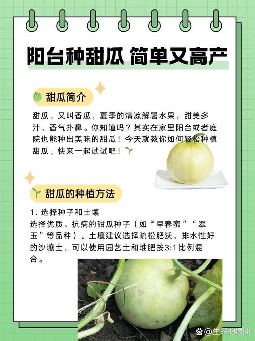 梦见甜瓜象征哪些？解密你的潜意识信号