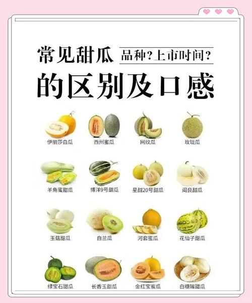 梦见甜瓜象征哪些？解密你的潜意识信号