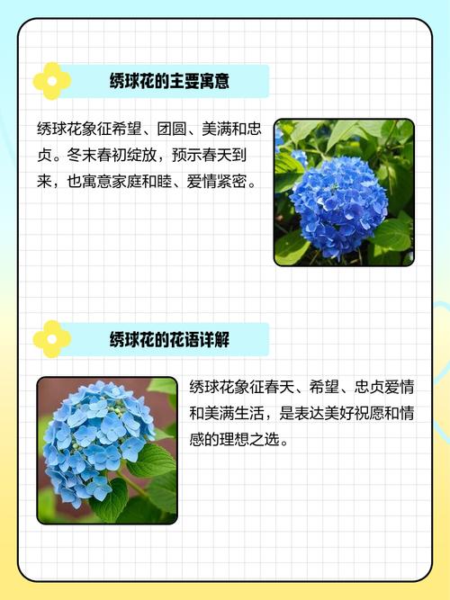 梦见绣球花的寓意解析，掌握解梦技巧提升生活幸福感