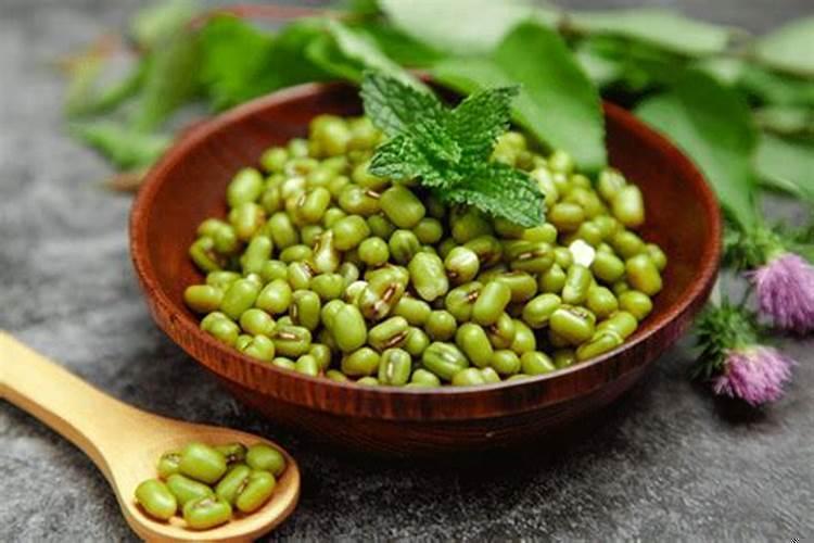 梦见绿豆暗示着哪些?解读其背后深层意义与影响 梦见绿豆暗示着哪些?解读其背后深层意义与影响