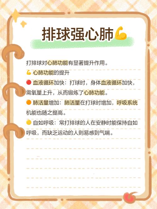 梦见打排球意味着哪些？深度解析心理与生活影响