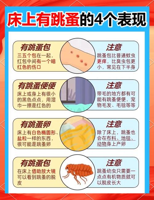 梦见跳蚤意味着哪些？解析梦境背后暗示的心理状态和生活影响。