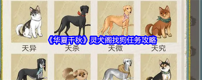 如何快速完成华夏千秋灵犬阁找狗任务？最新攻略揭秘！