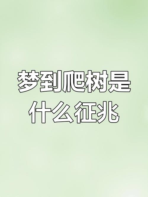 解析梦见爬松树的心理寓意，助你掌握内心力量