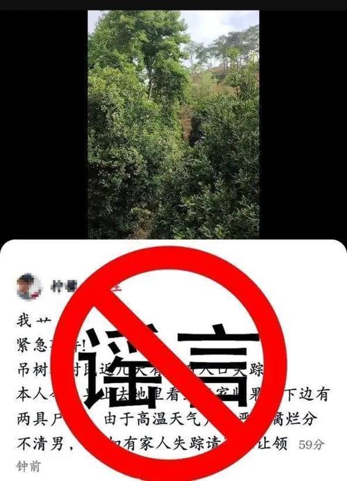 揭秘云南网警行动:虚假尸体传闻如何引发网络风波? 揭秘云南网警行动:虚假尸体传闻如何引发网络风波?