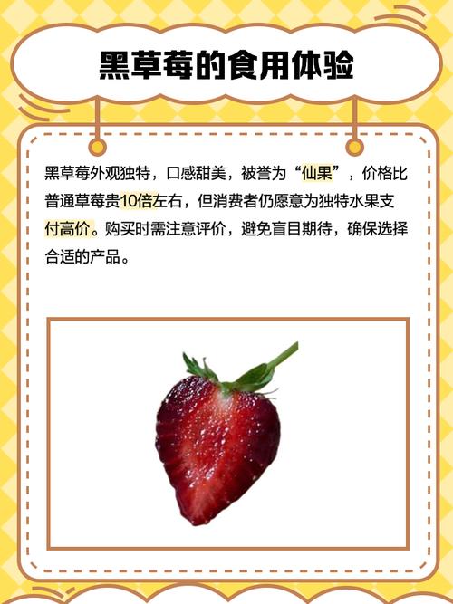 梦见黑草莓解析其象征意义及解决方案 梦见黑草莓解析其象征意义及解决方案