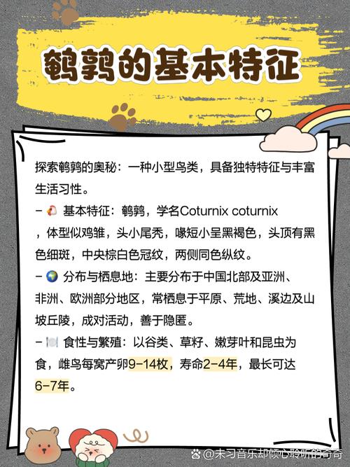 梦见鹌鹑意味着哪些?探索梦境背后的心理暗示 梦见鹌鹑意味着哪些?探索梦境背后的心理暗示