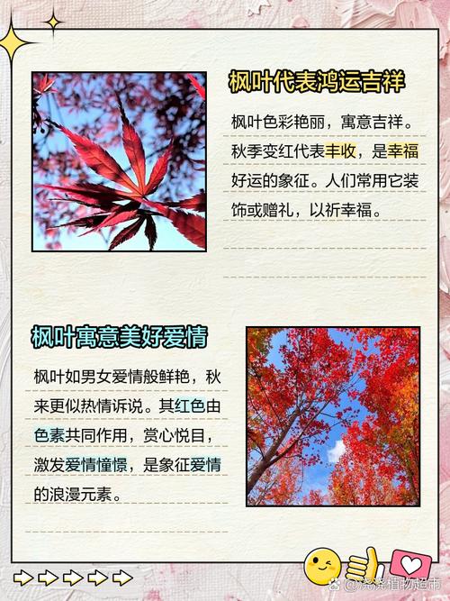 10个梦见红叶的寓意解析解读梦境的深层含义 10个梦见红叶的寓意解析解读梦境的深层含义
