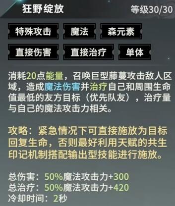 揭开手游星痕共鸣辅助阵容的秘密：为何顶级玩家趋之若鹜？