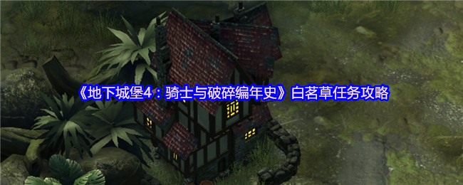 地下城堡4白茗草任务完美攻略：轻松获取稀有奖励的秘诀