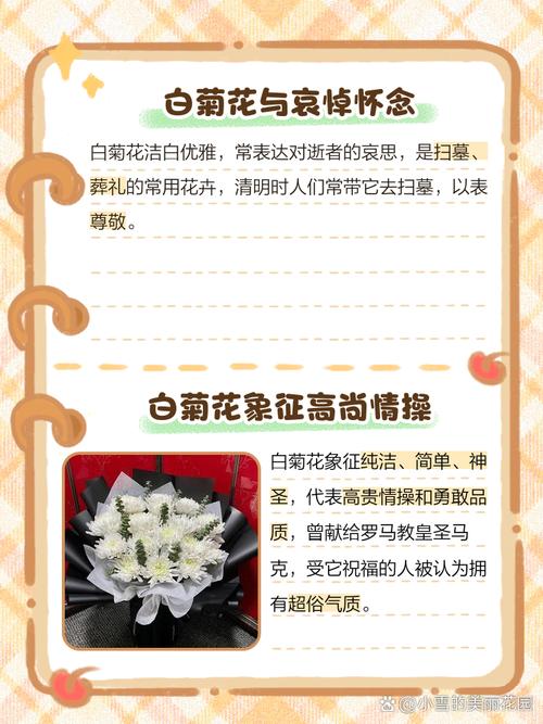 梦见白菊花预示哪些？揭秘背后的心理暗示与吉避策略