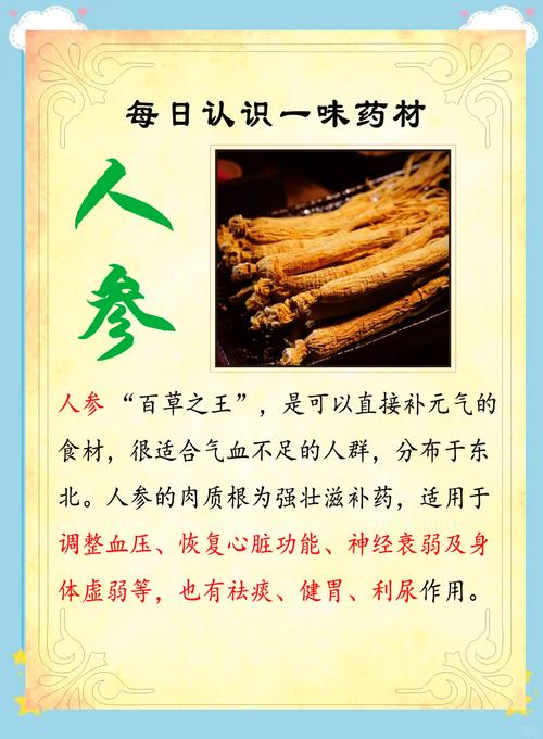 梦见人参蕴藏健康密码解读梦想中草药的神秘力量 梦见人参蕴藏健康密码解读梦想中草药的神秘力量