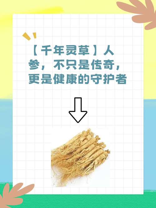 梦见人参蕴藏健康密码解读梦想中草药的神秘力量 梦见人参蕴藏健康密码解读梦想中草药的神秘力量