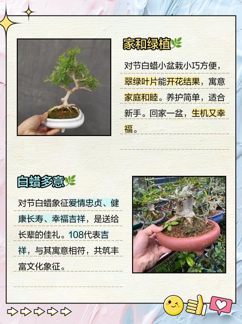 梦见白蜡深度解析其象征意义，揭示心灵潜在秘密！