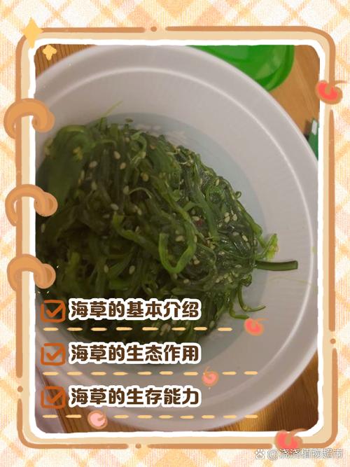 梦见海草的5个深层寓意解析心理专家解读与实用指引
