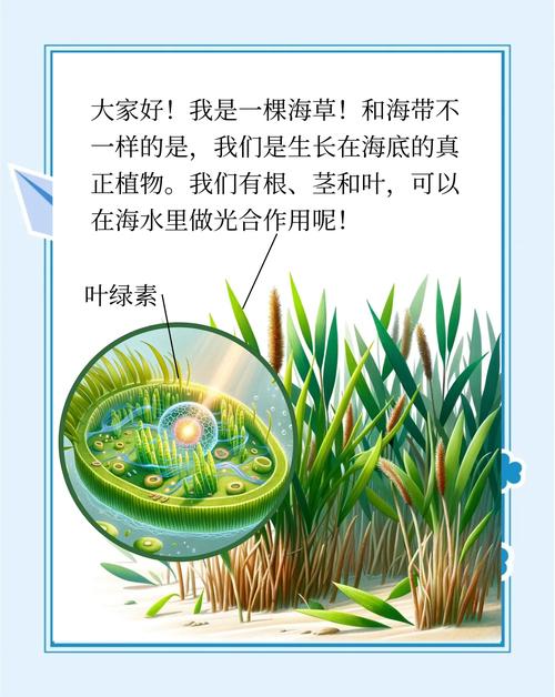 梦见海草的5个深层寓意解析心理专家解读与实用指引