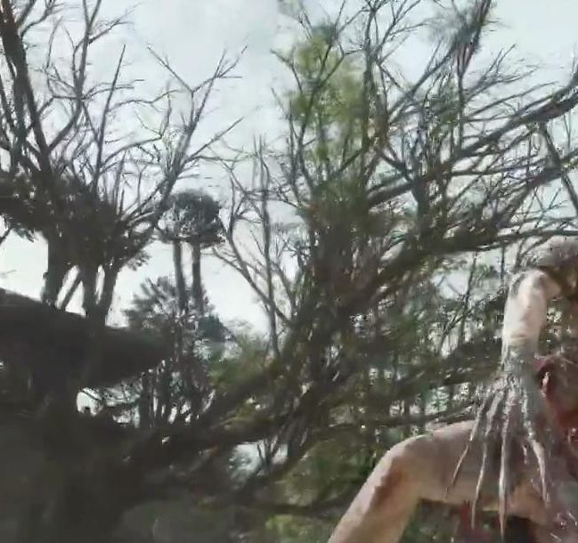 新BOSS战视频曝光：明末：渊虚之羽你会选择哪种武器应战？