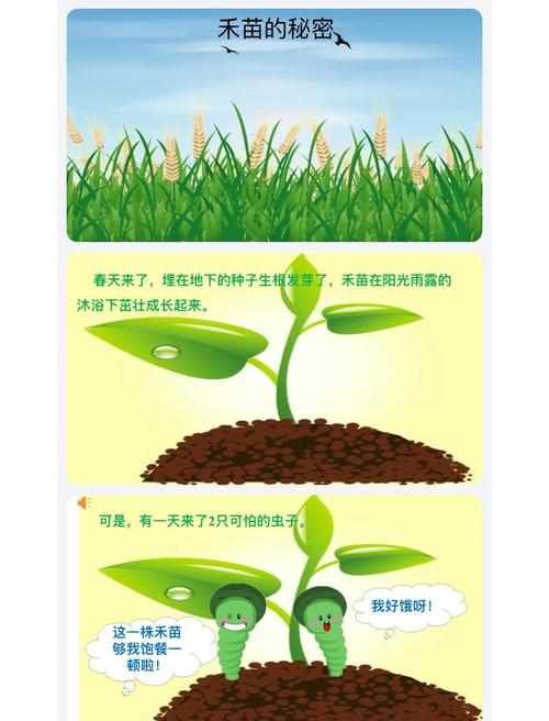 梦见禾苗预示哪些?解读梦境背后的深层含义与象征 梦见禾苗预示哪些?解读梦境背后的深层含义与象征