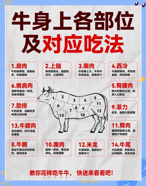 梦见牛肉 vs 梦见美食解读心理暗示与生活启示 梦见牛肉 vs 梦见美食解读心理暗示与生活启示