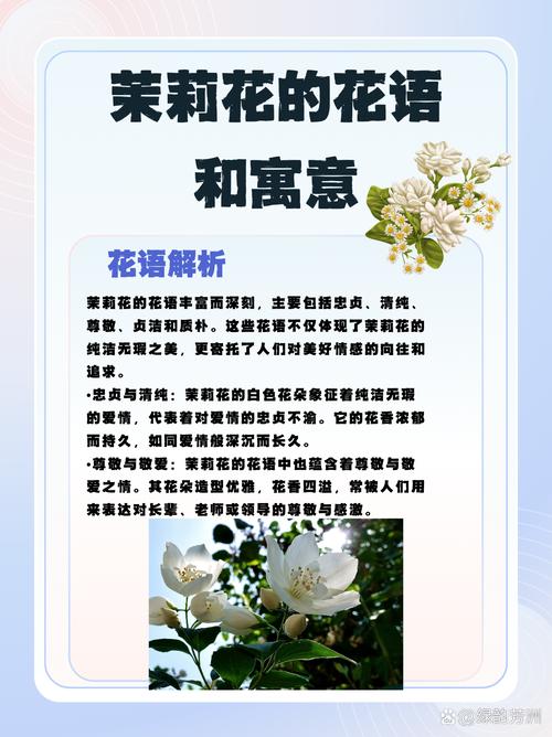 解析梦见茉莉花的含义5个权威解读 解析梦见茉莉花的含义5个权威解读