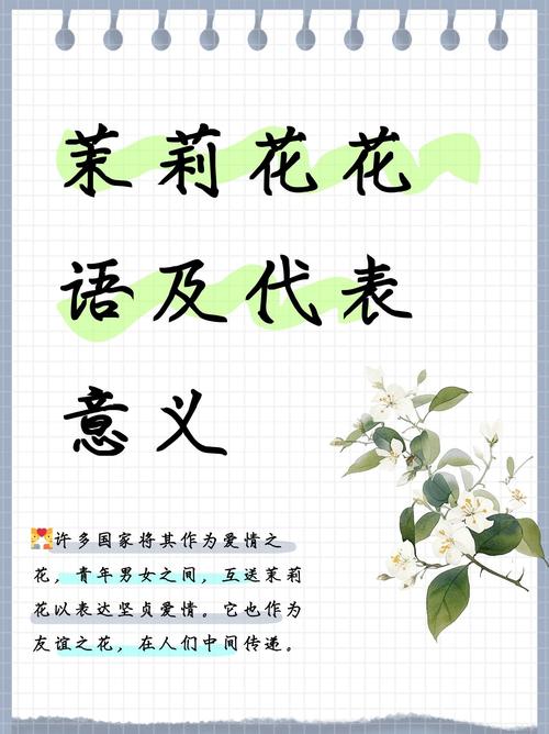 解析梦见茉莉花的含义5个权威解读 解析梦见茉莉花的含义5个权威解读