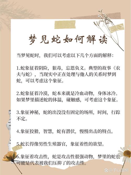 梦见小毒蛇的8种解析及心理暗示详解