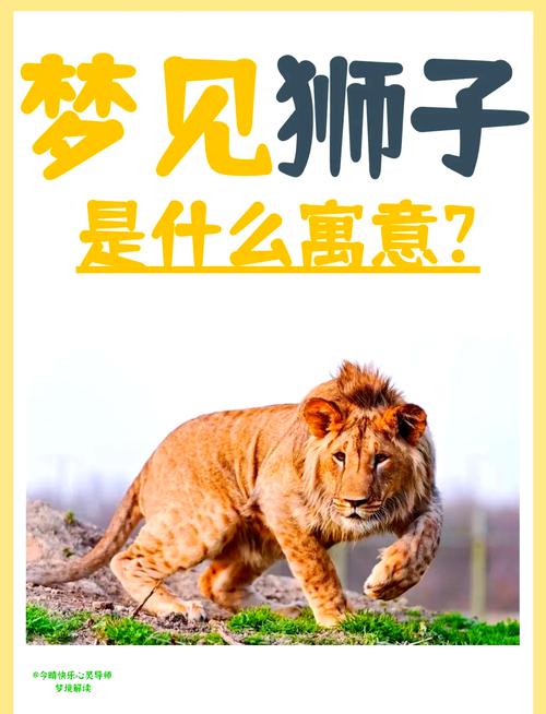梦见被狮子追意味着哪些?解读梦境心理,提升生活智慧 梦见被狮子追意味着哪些?解读梦境心理,提升生活智慧