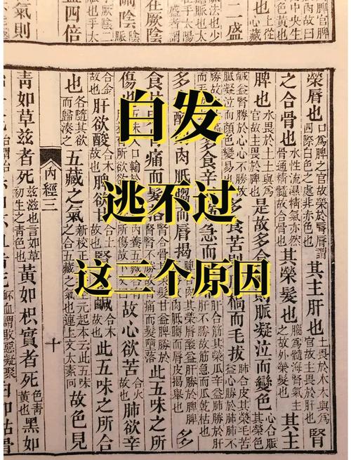 梦见白丧布预示哪些?深度解析及心理解读高效方案 梦见白丧布预示哪些?深度解析及心理解读高效方案