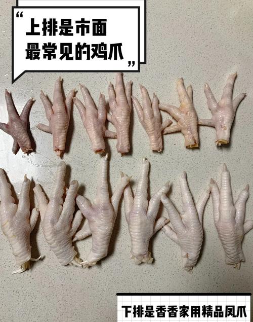 梦见鸡爪预示着哪些？深入解析背后的心理与运势