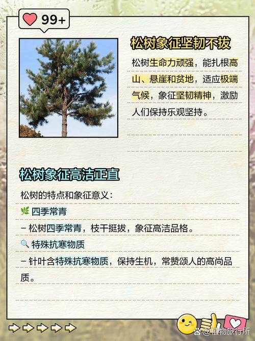 梦见杜松树寓意吉凶?揭示梦境背后的深层含义 梦见杜松树寓意吉凶?揭示梦境背后的深层含义