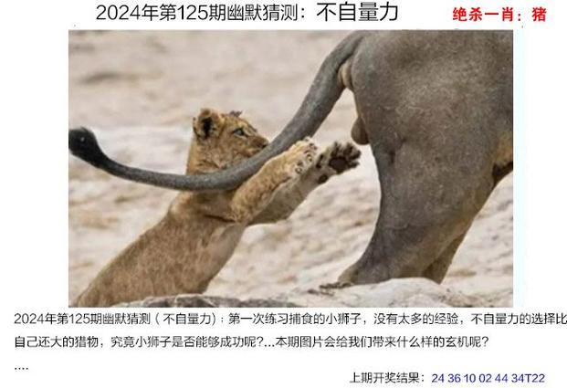梦见干酪象征哪些？解读背后的心理玄机，揭开你不知道的秘密！