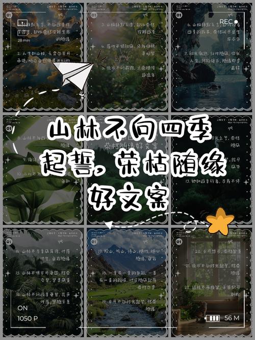 梦见山林草木代表哪些？解读心理暗示与人生启示