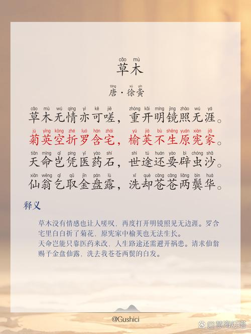梦见山林草木代表哪些？解读心理暗示与人生启示