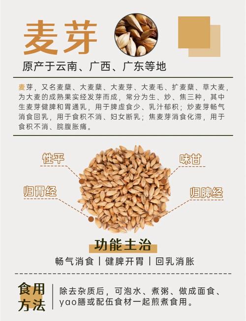 梦见麦芽象征意义深度解析与解梦技巧