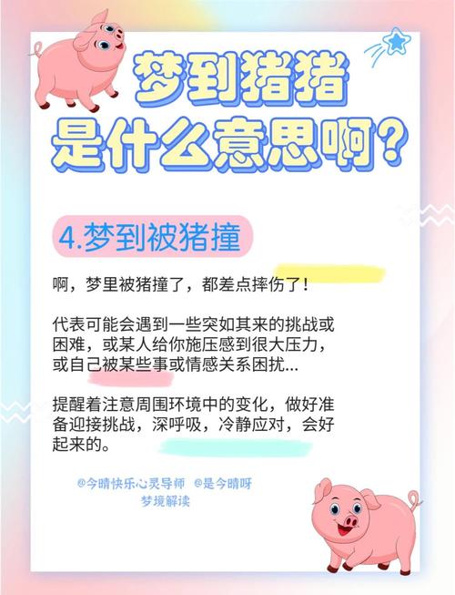 梦见小猪意味着哪些？揭示梦境背后的心理暗示与生活启示
