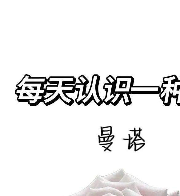 梦见鲜花解读梦境的深层心理含义与生活影响