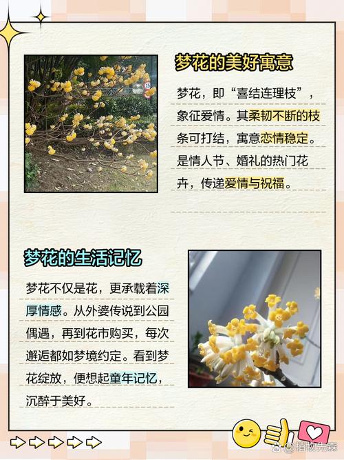 梦见鲜花解读梦境的深层心理含义与生活影响