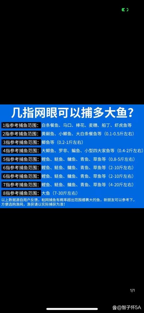 梦见渔网预示哪些?解读背后的深层意义与心理暗示 梦见渔网预示哪些?解读背后的深层意义与心理暗示